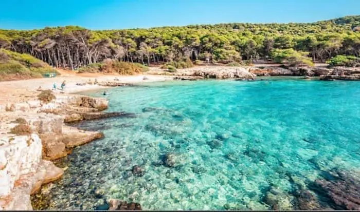 Rubino Torre Inserraglio